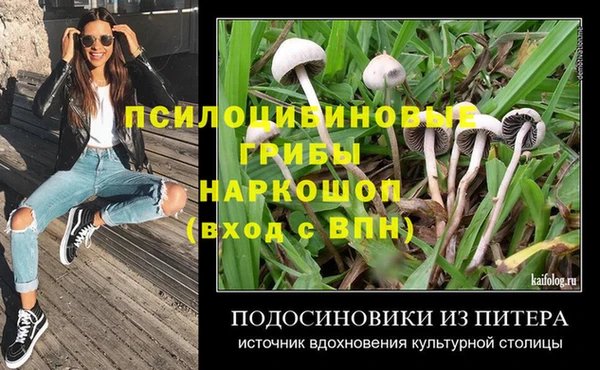 прущие грибы Алзамай