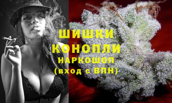 прущие грибы Алзамай