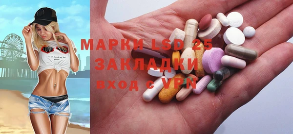 прущие грибы Алзамай