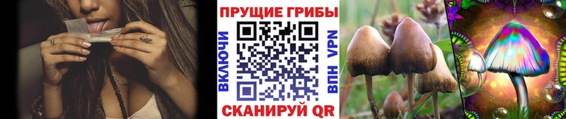 гидра зеркало  как найти закладки  Сосенский  маркетплейс наркотические препараты  Псилоцибиновые грибы MAGIC MUSHROOMS 